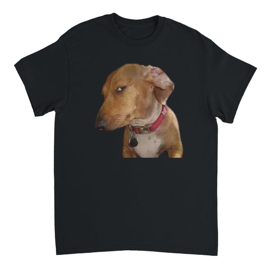 ea5b6d76-8b68-4453-91b9-d99584ba8f68